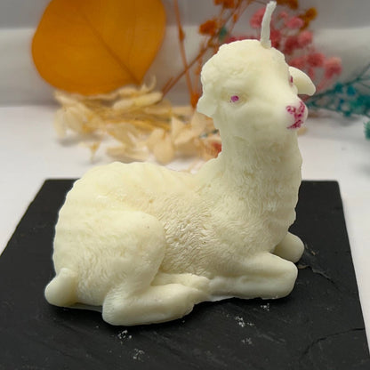 Candle - Lamb