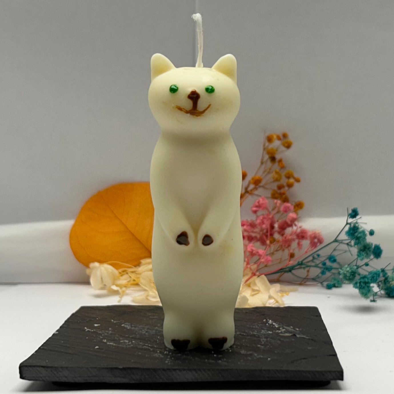 Candle - Kitten
