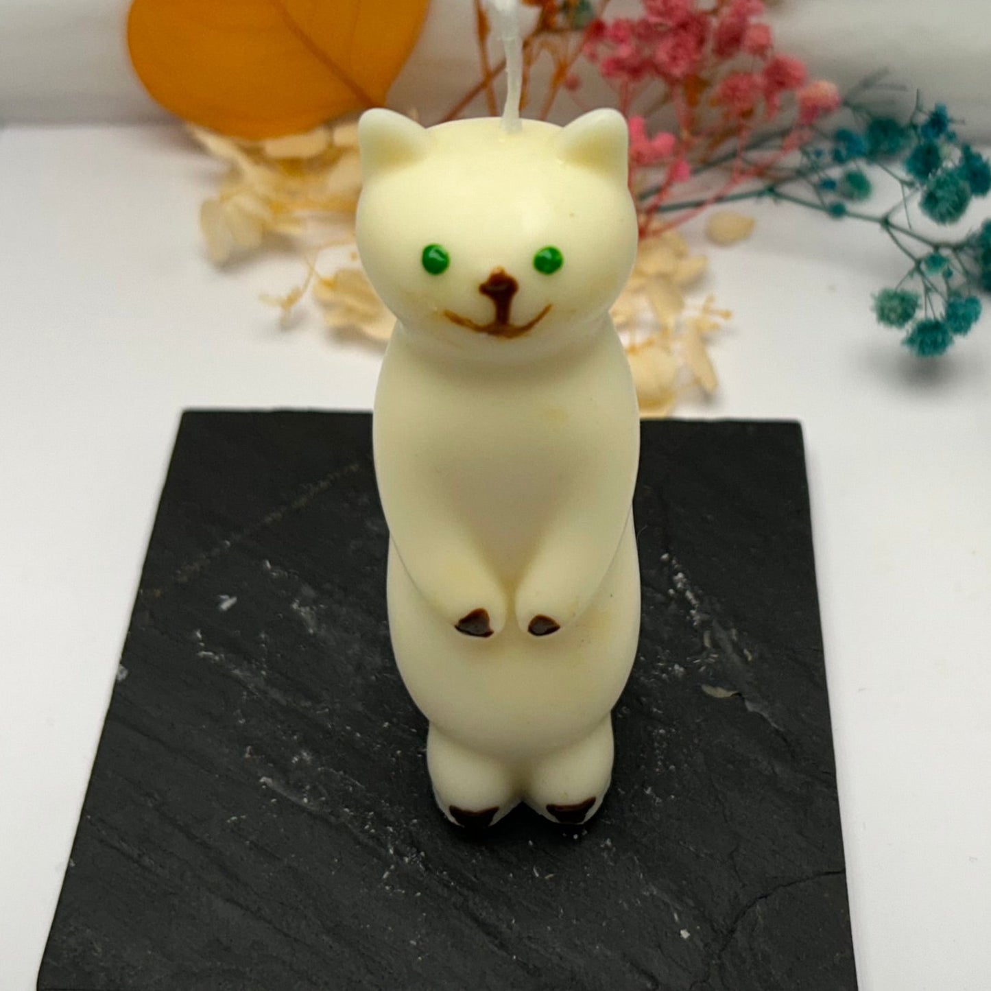 Candle - Kitten